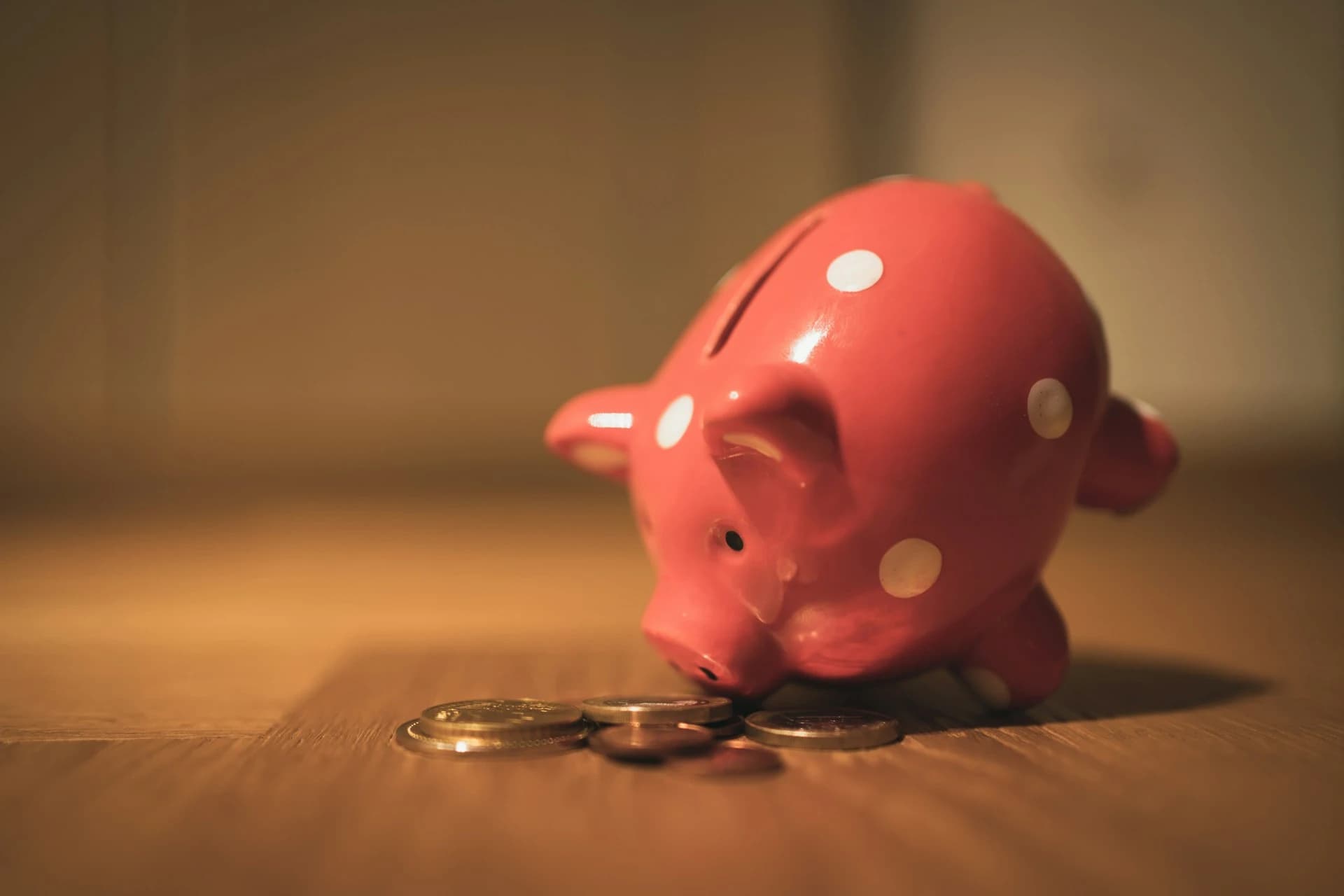 Financiamento STEELFORCE
